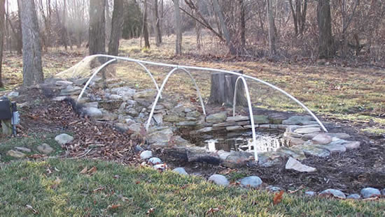Winter pond leaf net