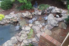 Elevated view of stream